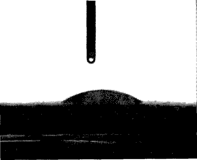 Preparation method of enamel surface coatings with hydrophobic effect