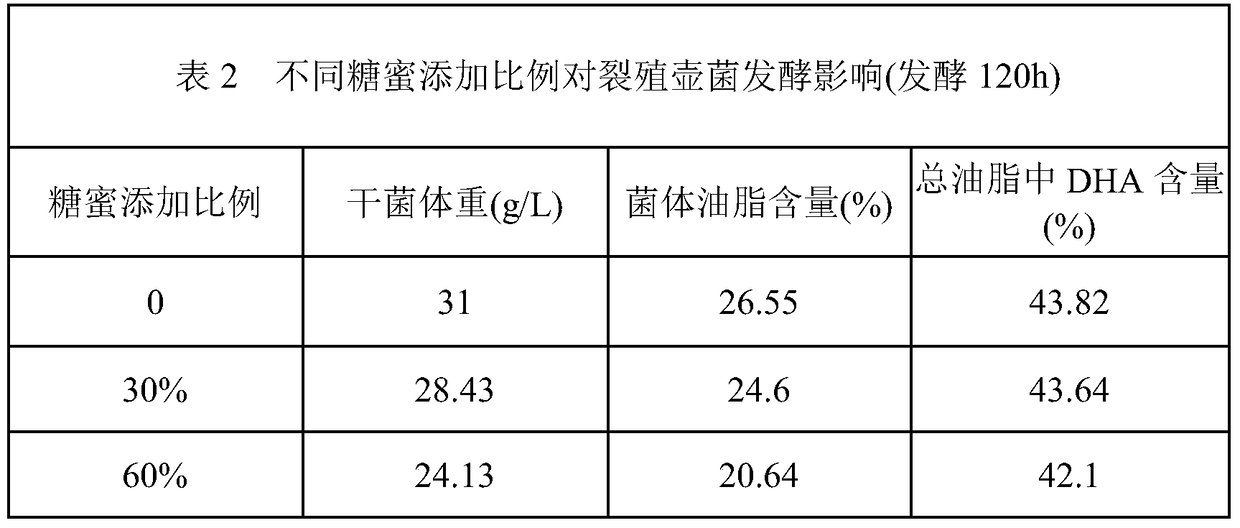 A pretreatment process of sugarcane molasses and a process for producing DHA by fermentation