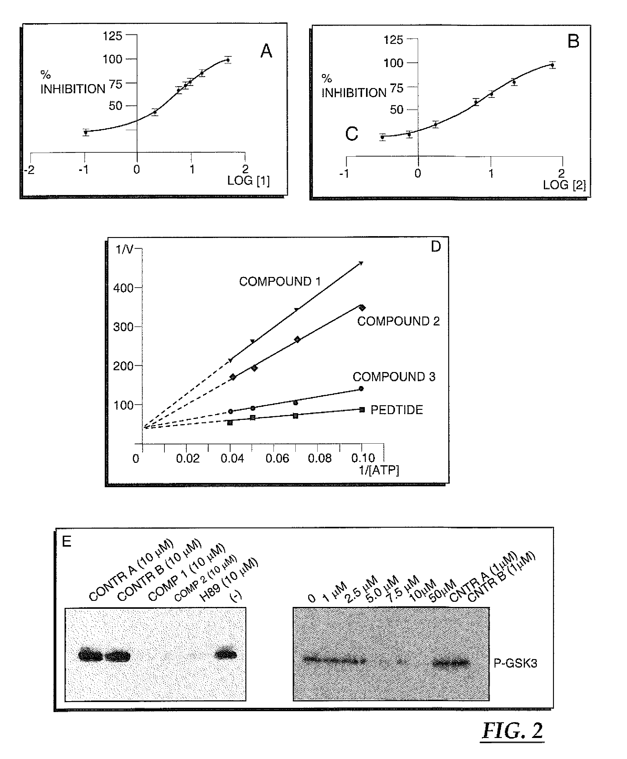 Selective inhibitors of akt and methods of using same