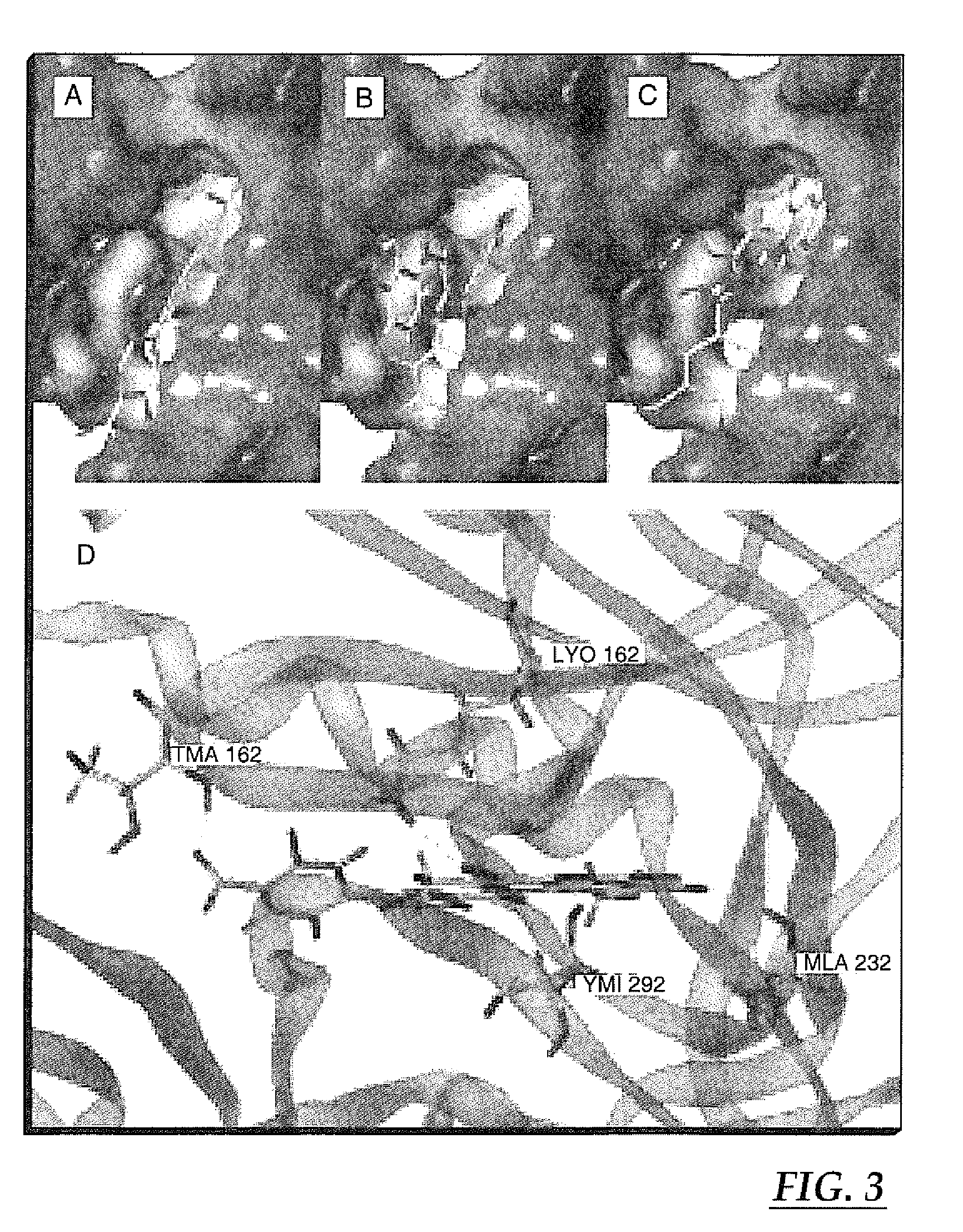 Selective inhibitors of akt and methods of using same