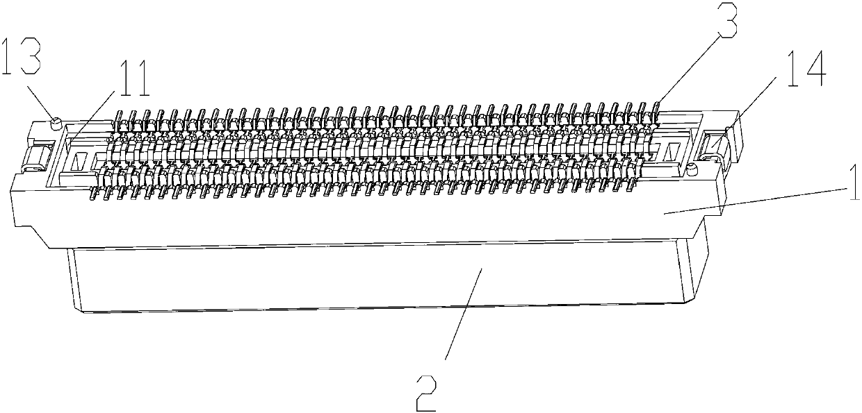 Socket connector of double-row needle structure and protecting structure thereof