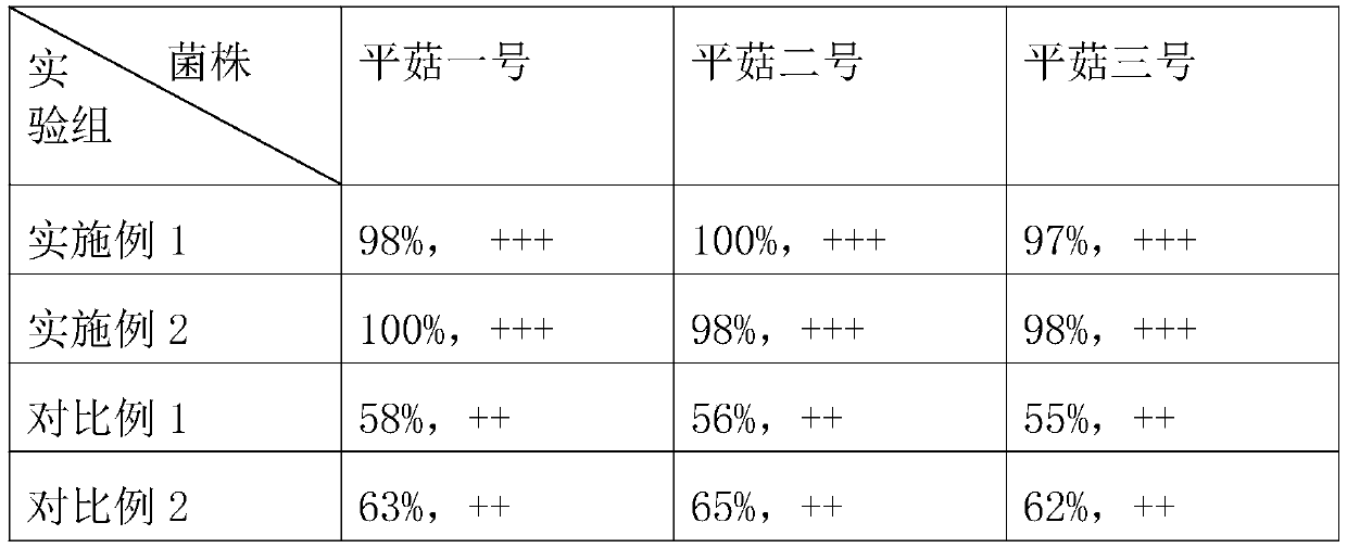 Protective agent for preserving strains and preservation method