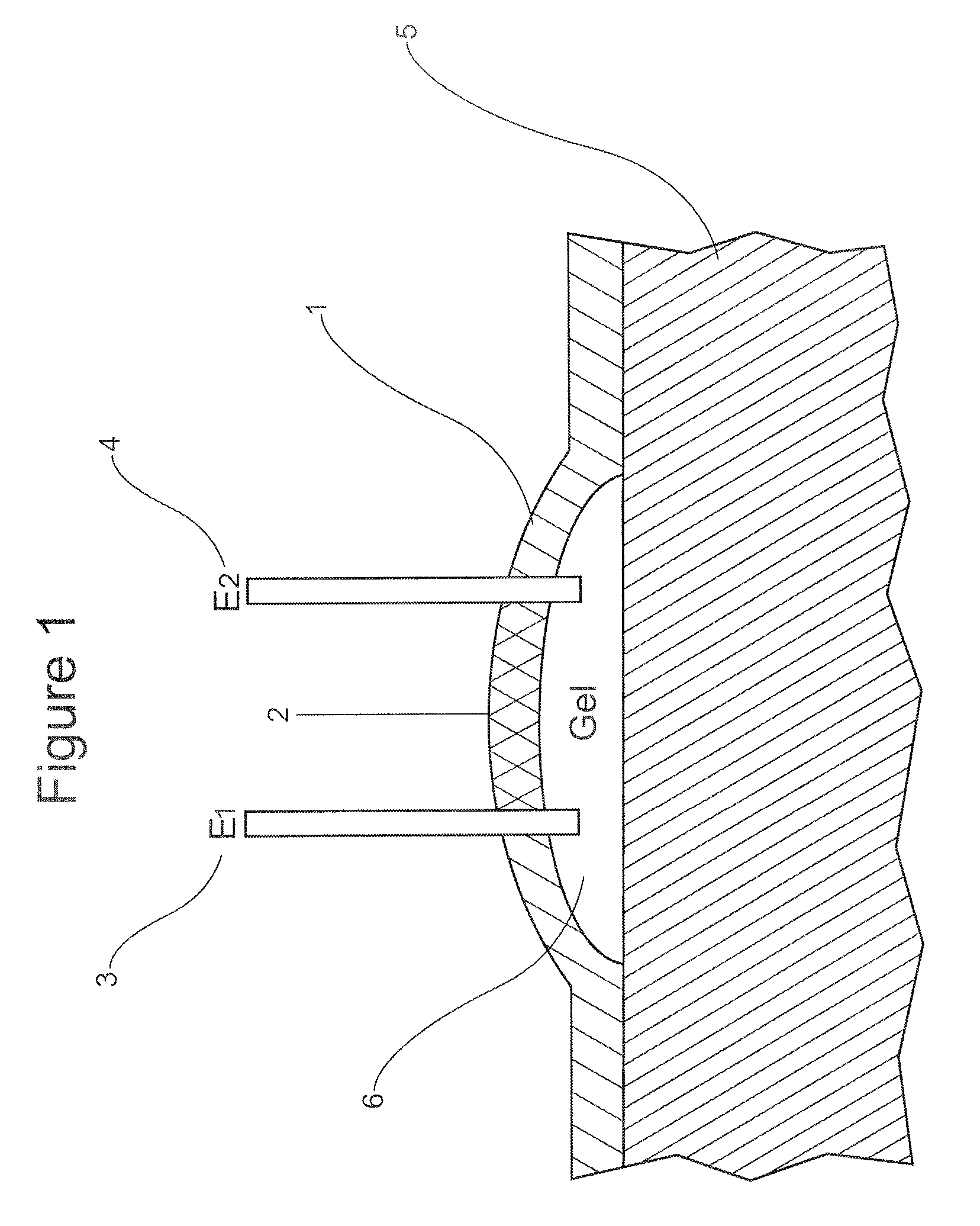 Gels with predetermined conductivity used in electroporation of tissue