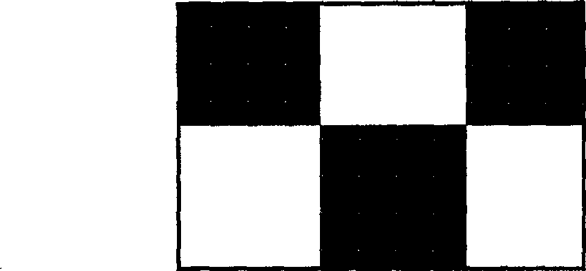 Two-value raster image best edge euler circuit generating method