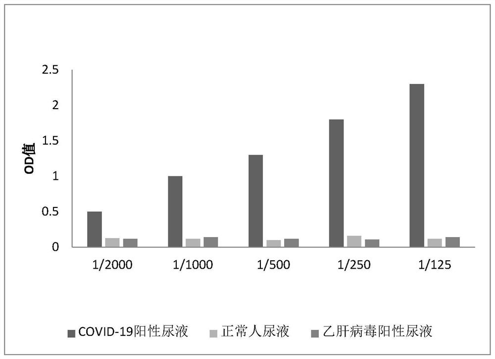 Antigen mimic epitope of SARS-COV-2 coronavirus and immunochromatographic test strip