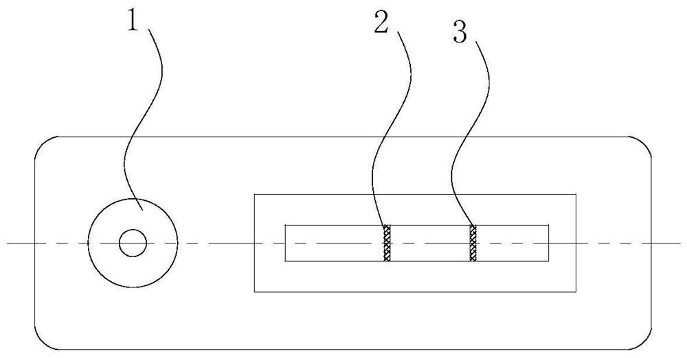 Antigen mimic epitope of SARS-COV-2 coronavirus and immunochromatographic test strip