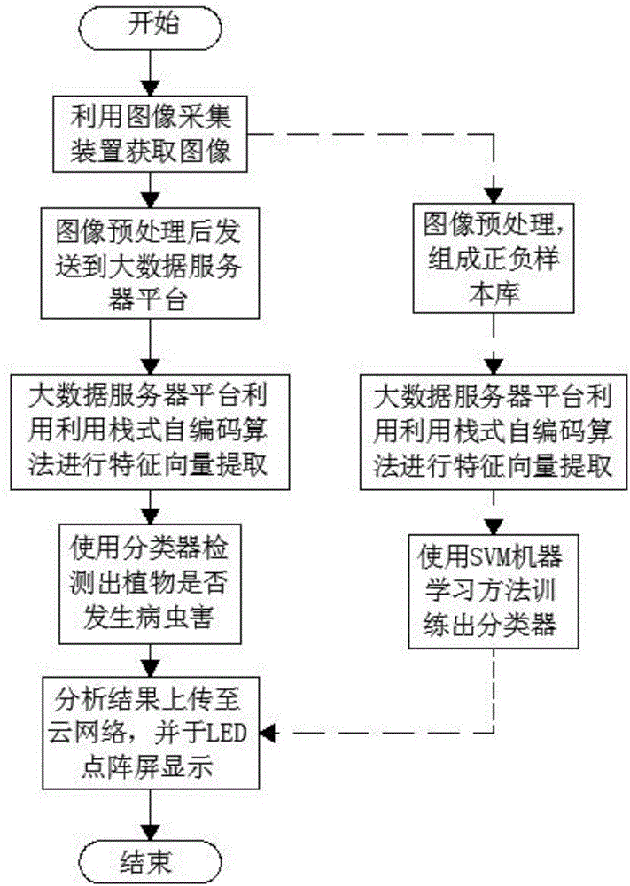 Disease and insect pest detection system based on SAE-SVM