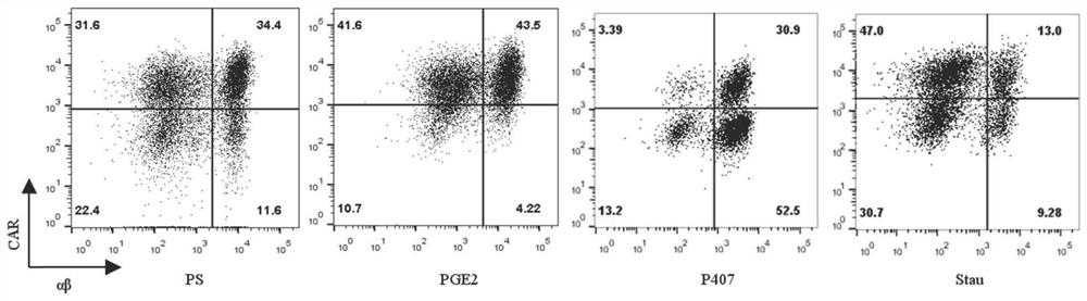 Method for transfecting immune cells by lentivirus