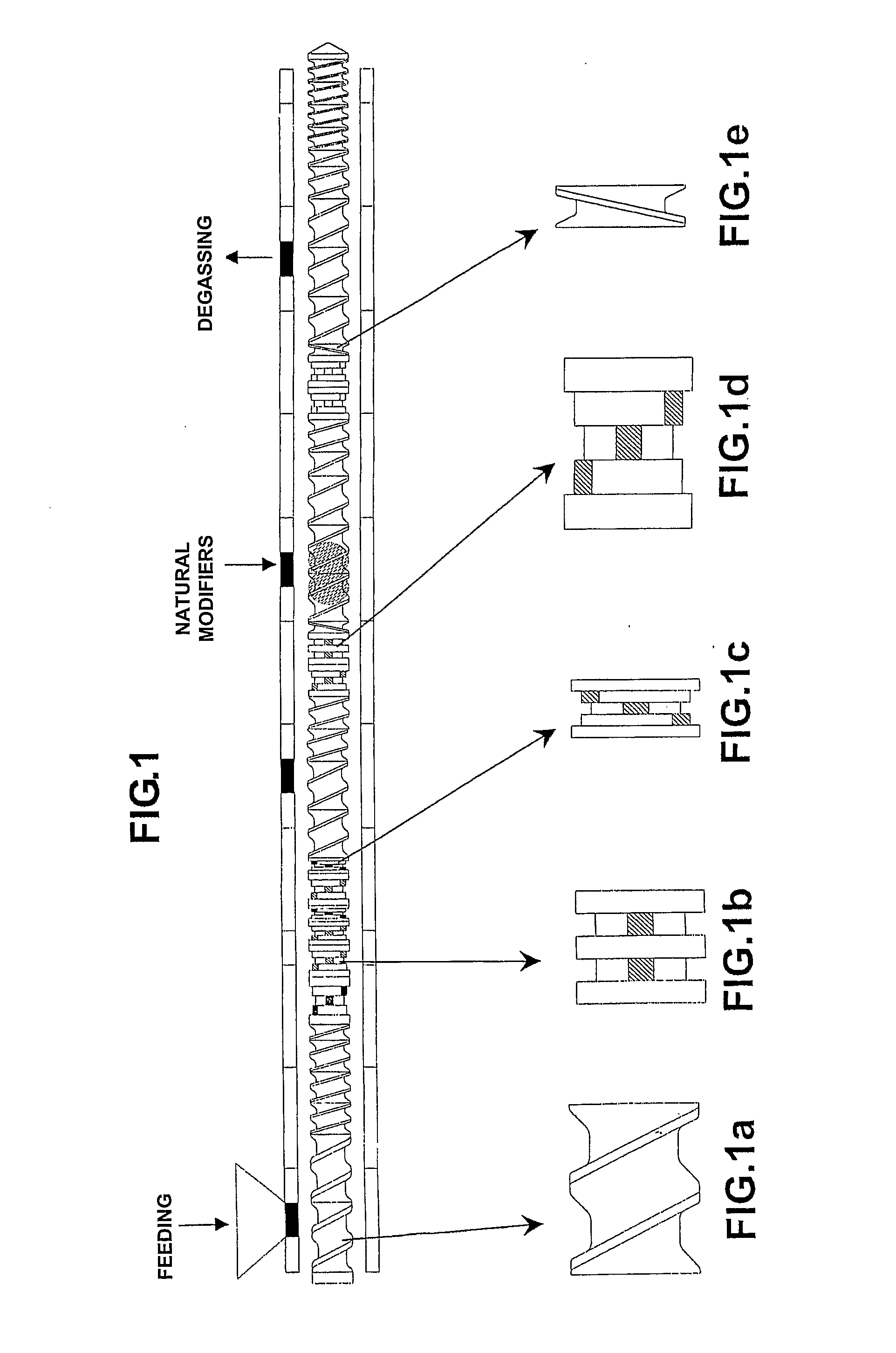 Environmentally degradable polymeric composition and process for obtaining an environmentally degradable polymeric composition