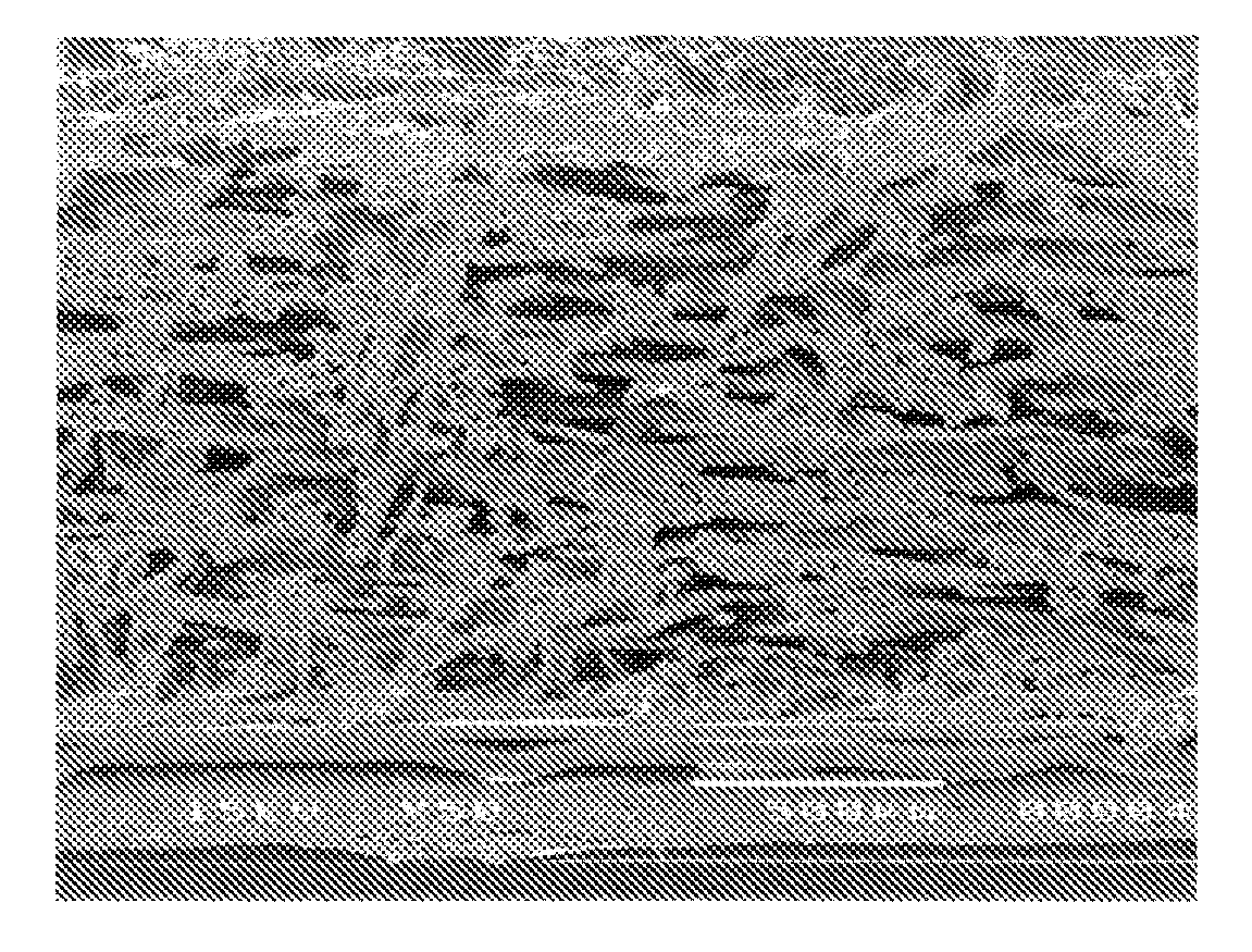 Complex polishing pad and method for making the same