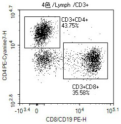 Kit for quantitatively detecting lymphocyte subsets and detection method thereof