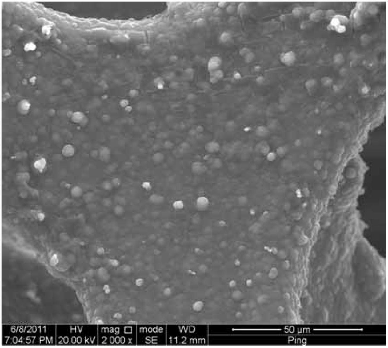 Preparation method for palladium modified electrode with base body formed by para-toluenesulfonic acid mixed with polypyrole