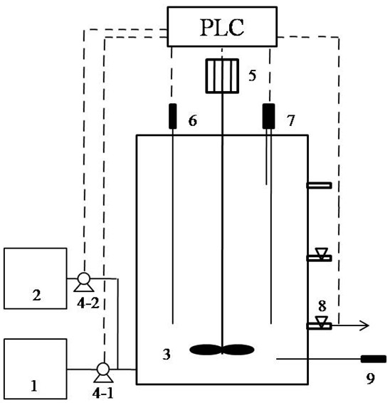 Rapid enrichment culture method of denitrifying phosphorus removal bacteria