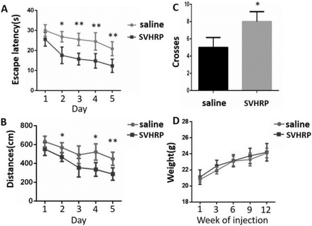 Scorpion venom heat-resistant synthetic peptide and application thereof