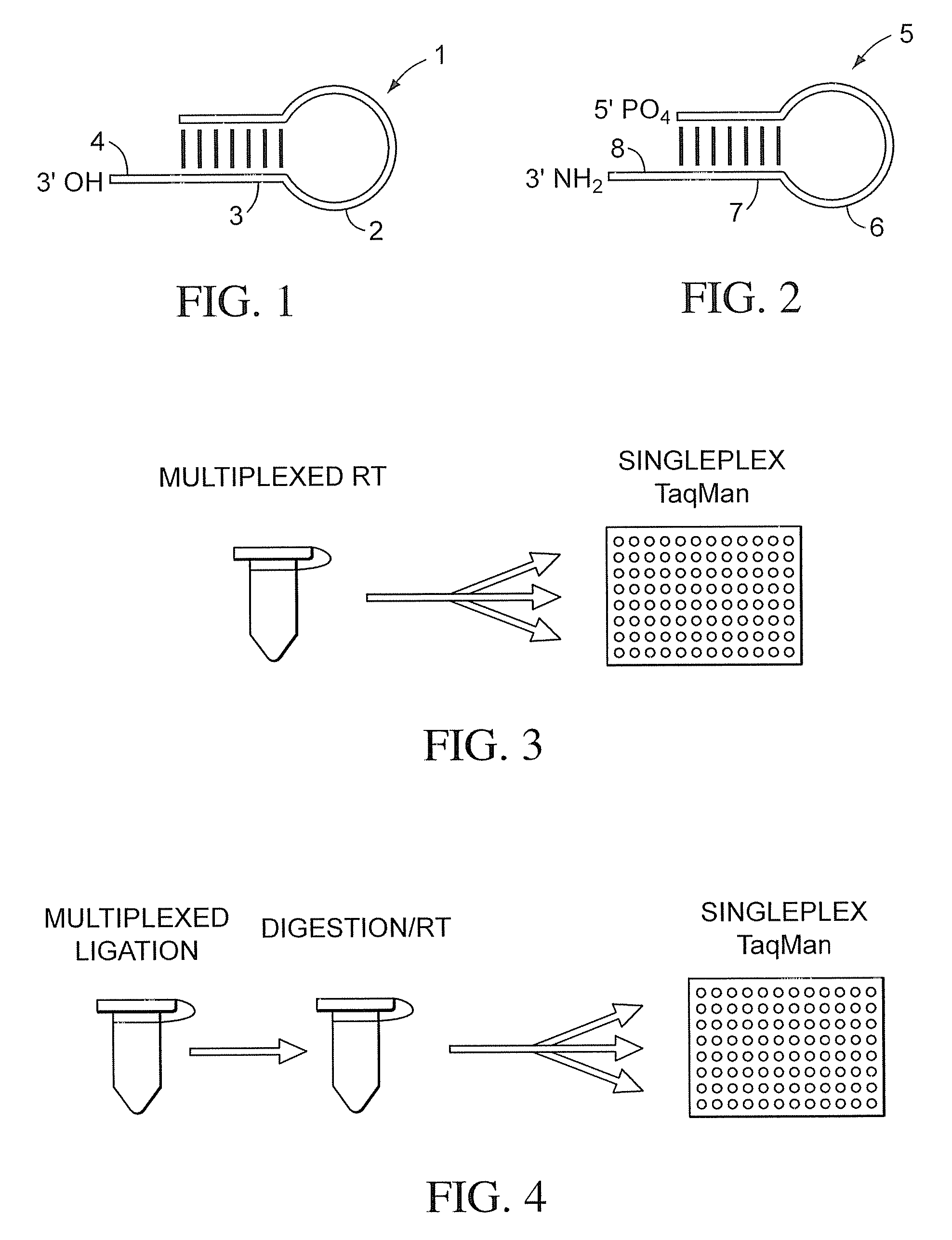 Method to Quantify siRNAs, miRNAs and Polymorphic miRNAs