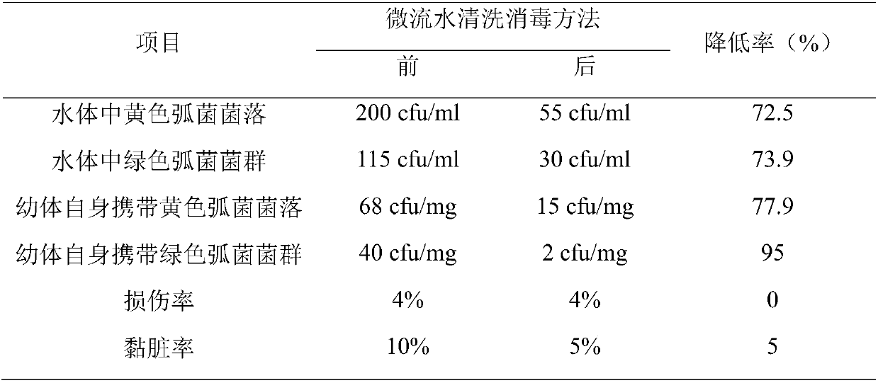 Device and method for cleaning and sterilizing nauplii of shrimps by slow flowing water