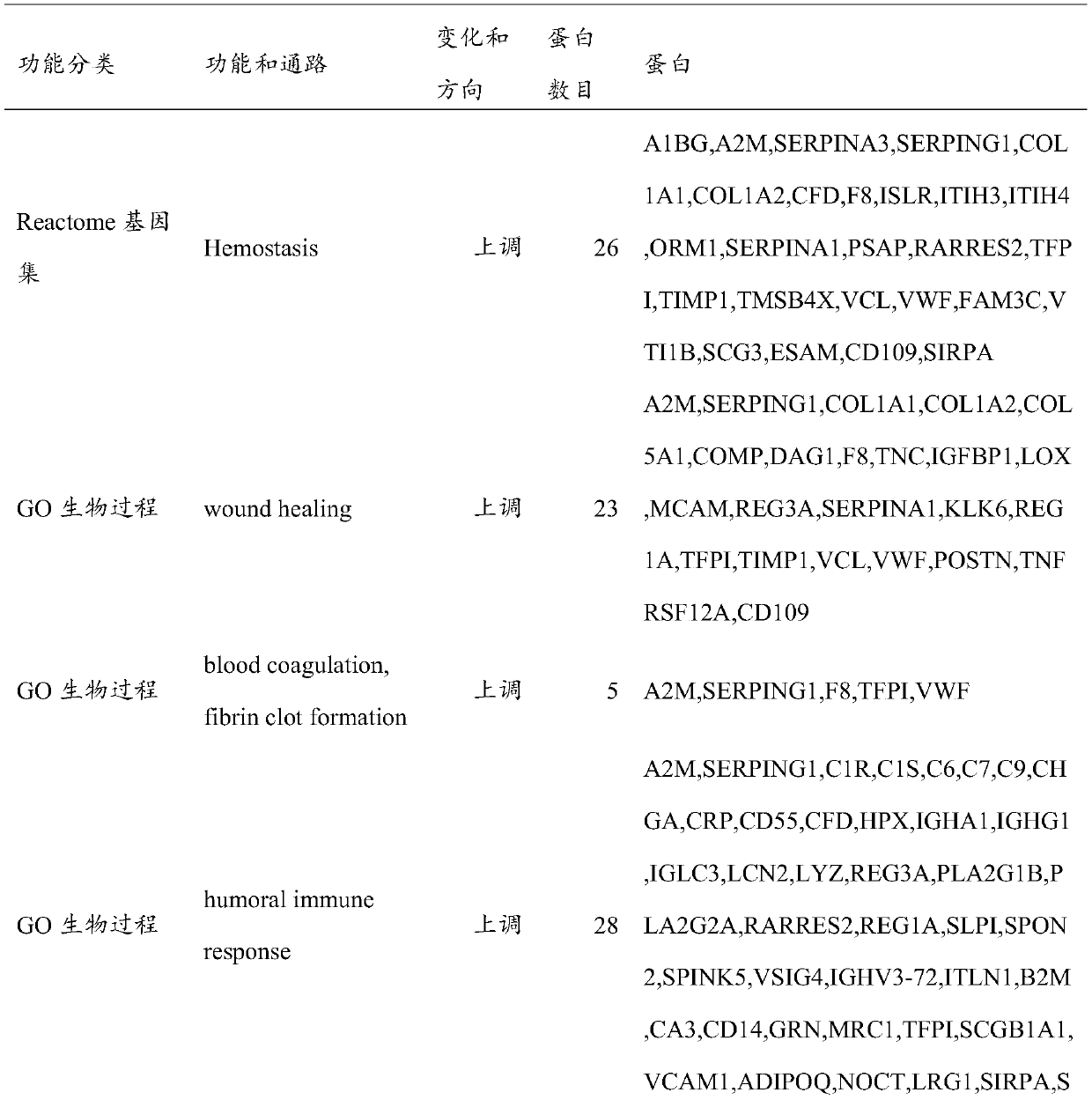 Serum protein marker for indicating healthy aging key pathway and application thereof