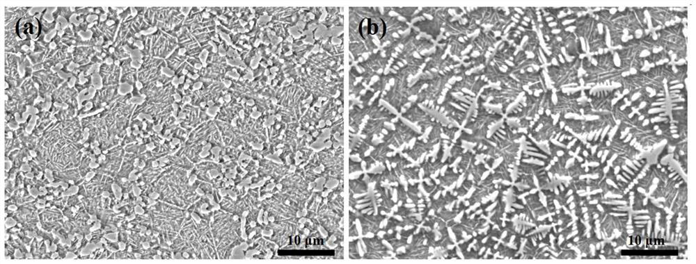 Laser preparation device and method for in-situ synthesis of tic-reinforced titanium matrix composites