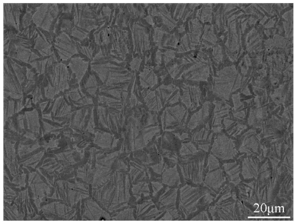 A multi-grain scale core-shell structure titanium alloy bulk material and its preparation method