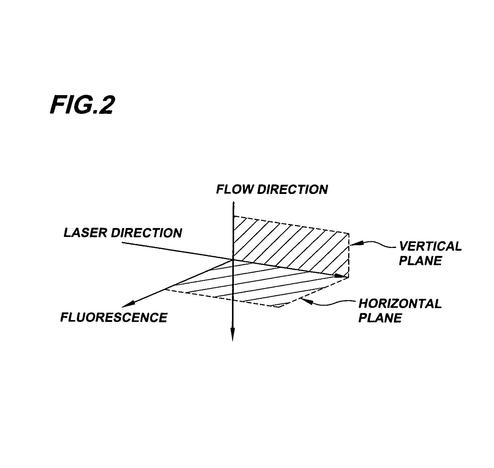 System for axial pattern analysis of multicellular organisms