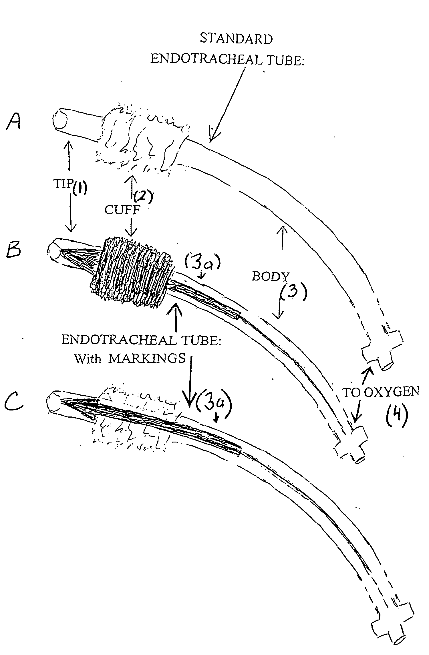 Endotracheal tube with markings