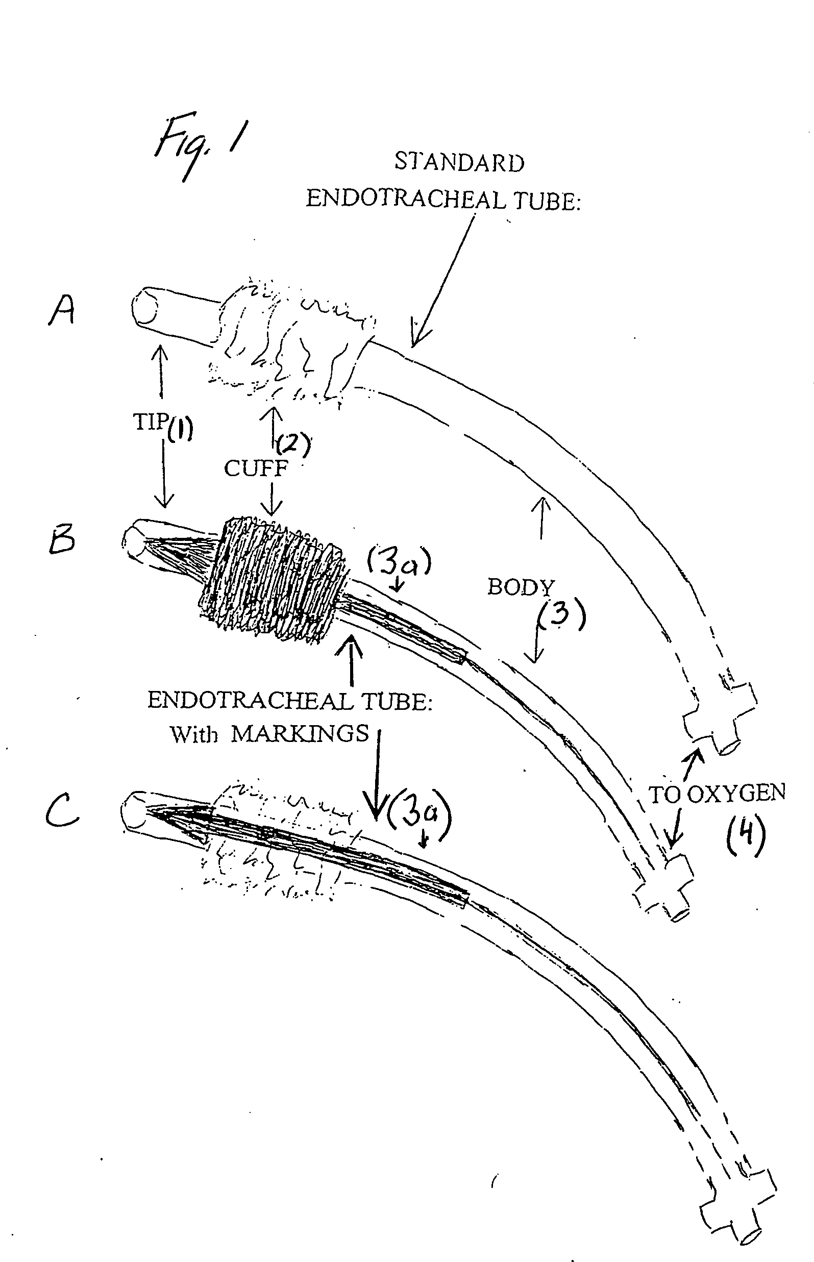 Endotracheal tube with markings