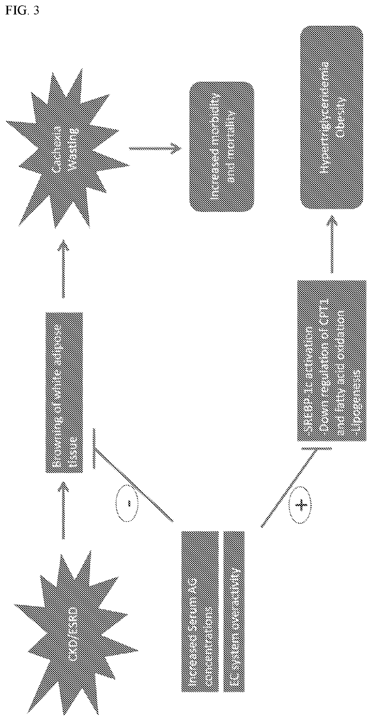 Methods of treating renal disease