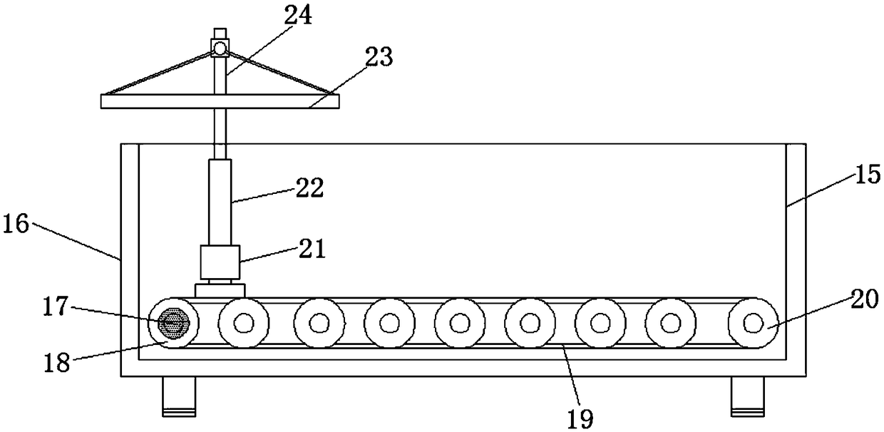 Device for frying and processing abyssopelagic fishes