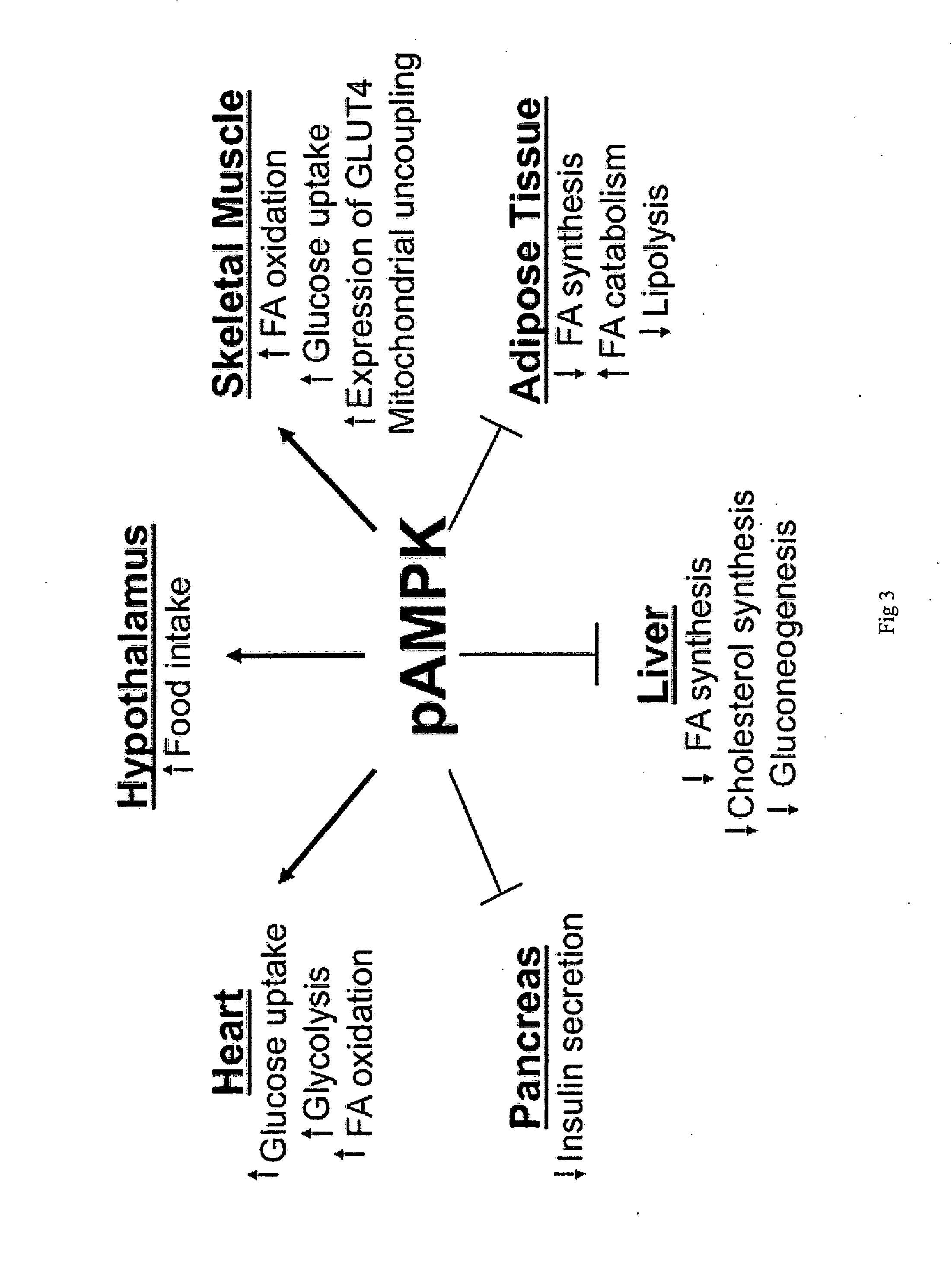 Novel compositions from Nigella sativa