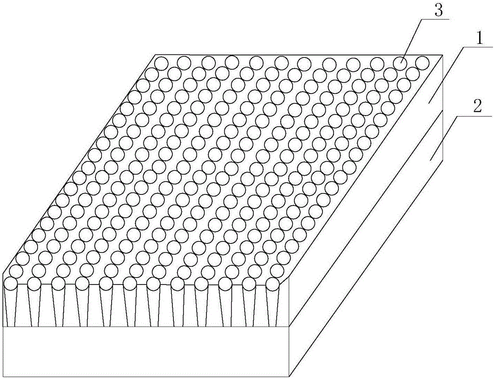 Disposable water absorbing and freshness keeping pad for food