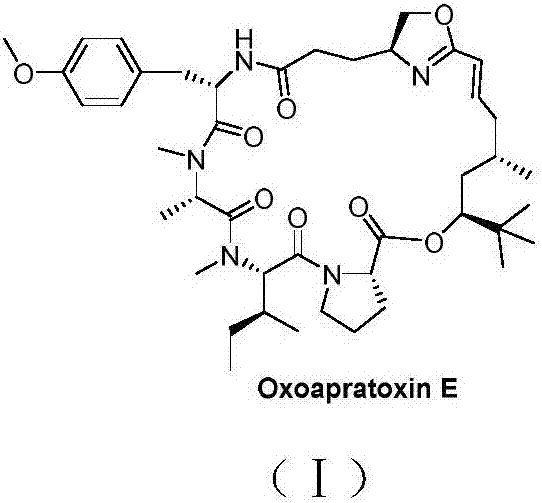 Cyclic depsipeptide as well as preparation method and application thereof