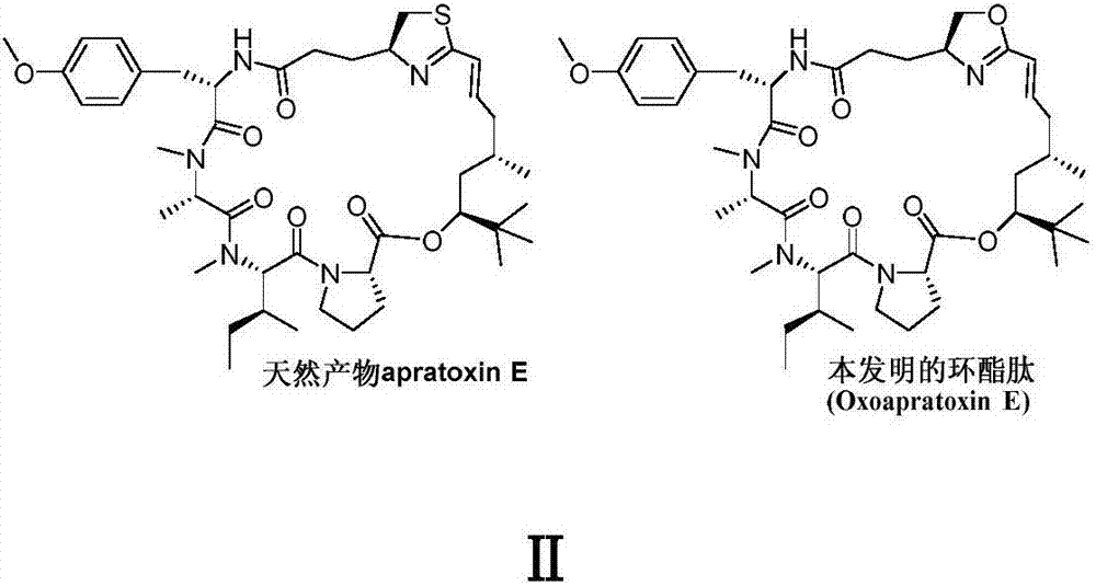 Cyclic depsipeptide as well as preparation method and application thereof