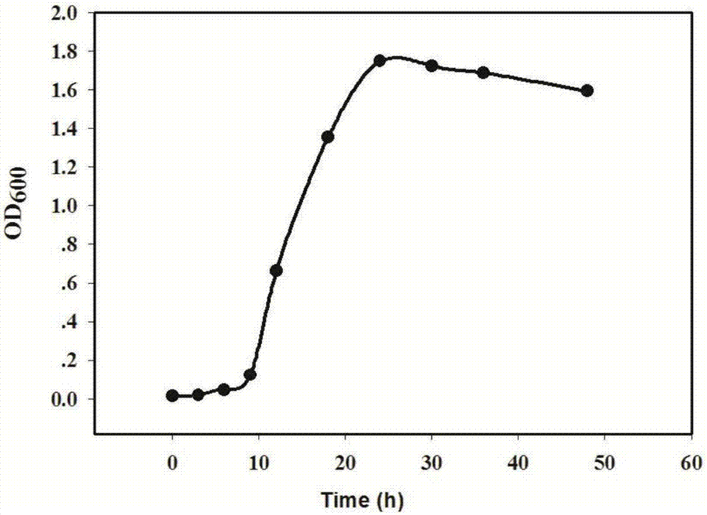 Citrobacter sp.JPG1 for heavy metal copper ion removal and application thereof