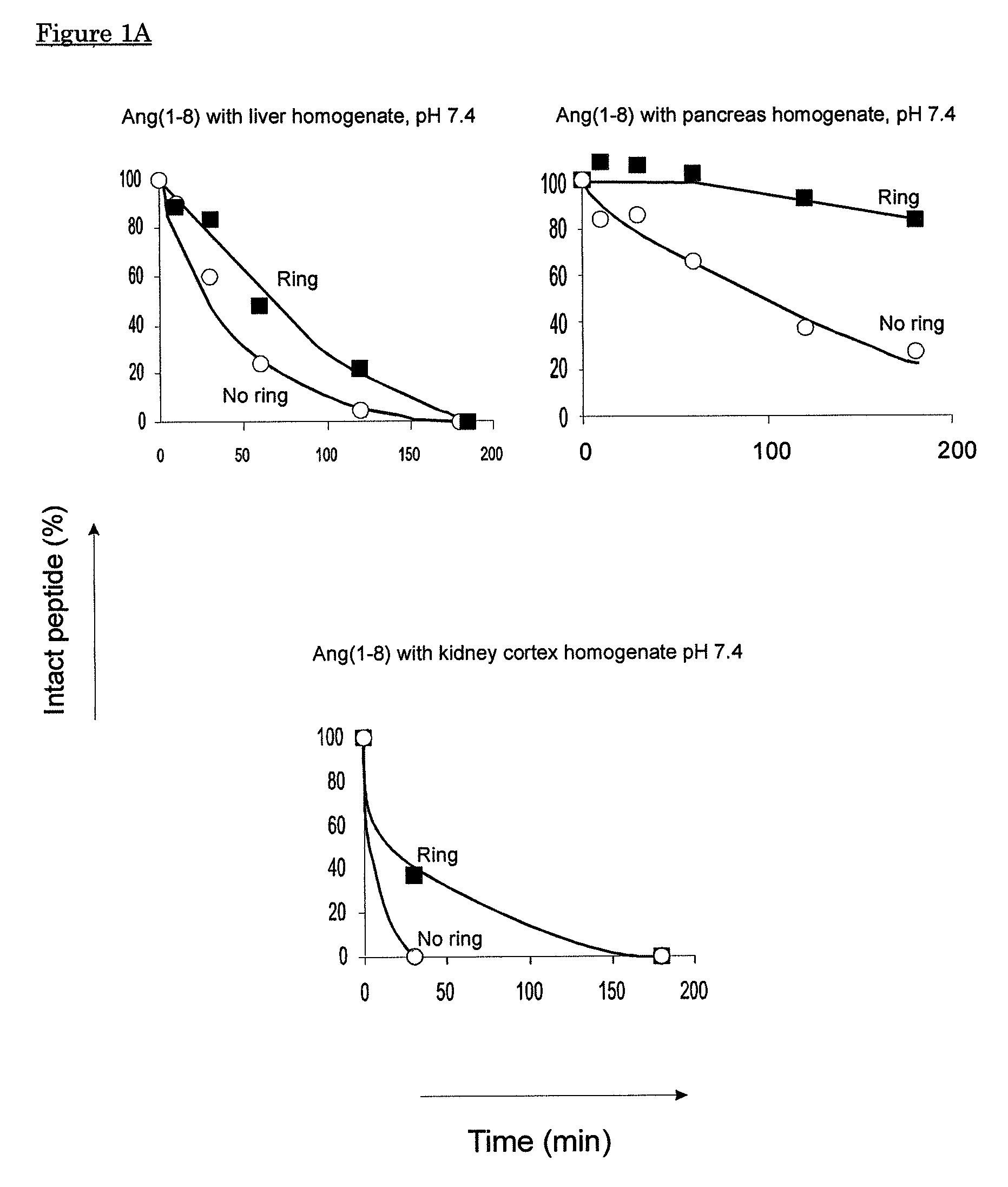 Cyclic angiotensin analogs