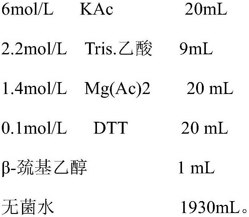 Gene and method thereof for expressing protein