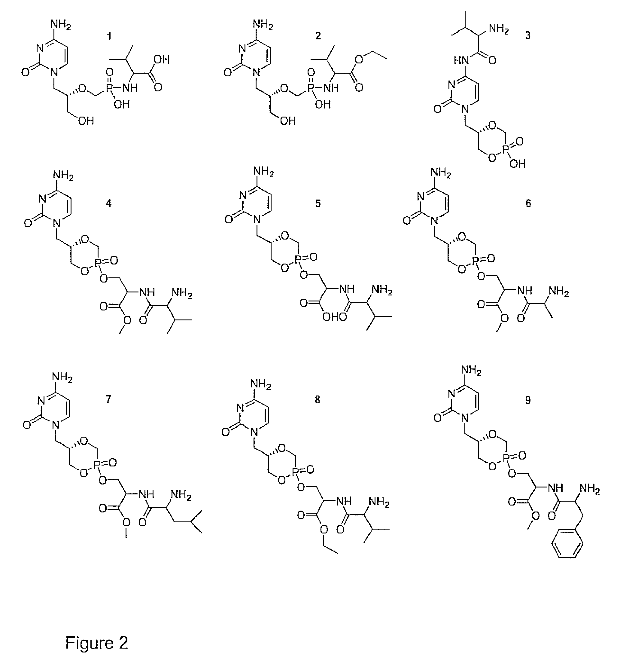 Phosphonyl ester conjugates as prodrugs