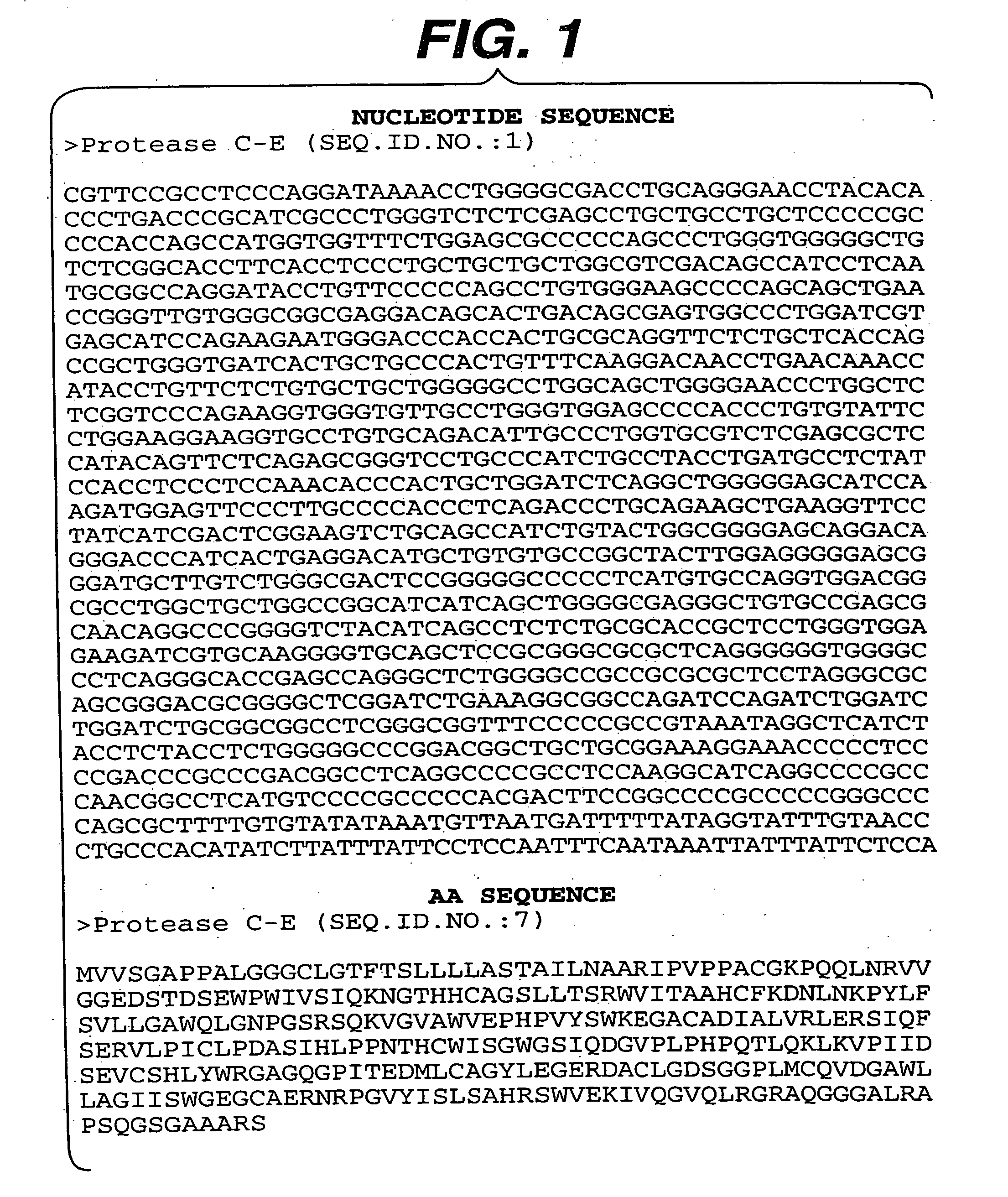 DNA encoding the human serine protease C-E