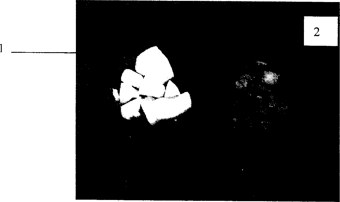 Preparation method for discoloration tolerant antibacterial material of silver-loaded titanium phosphate