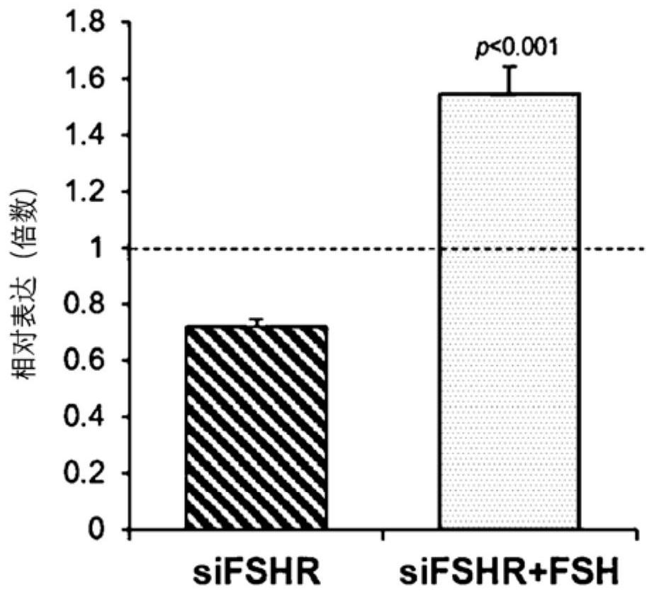 Biomarker for diagnosing or predicting reactivity of ovary to fsh and use thereof