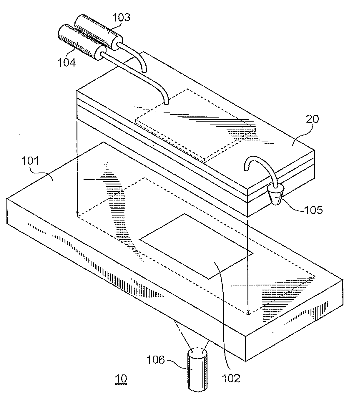 Biological substance detection cartridge,biological substance detection apparatus, and biological substance detection method