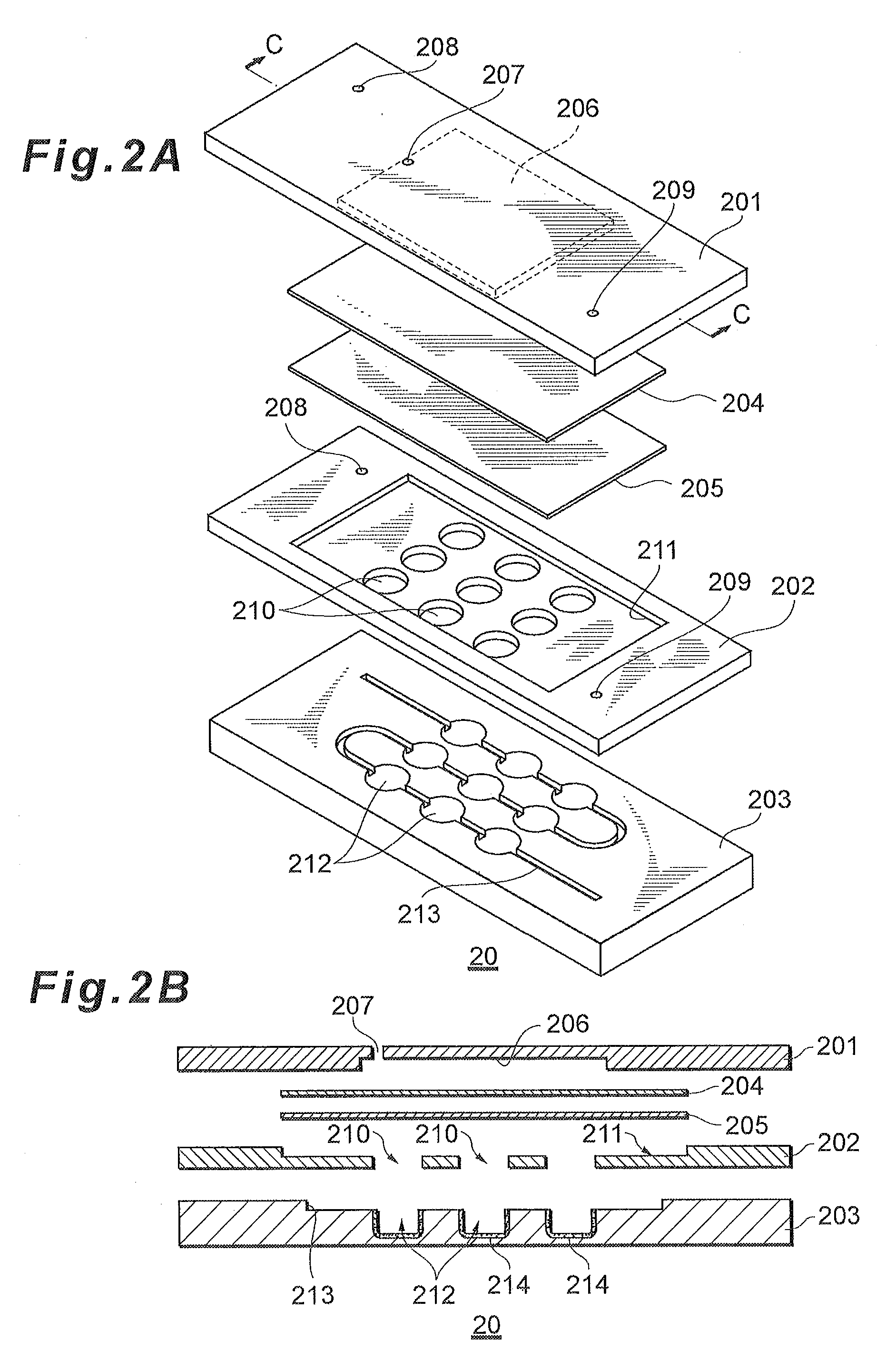 Biological substance detection cartridge,biological substance detection apparatus, and biological substance detection method