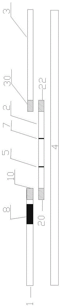 Activated fluorescent latex microsphere for 25-hydroxyvitamin D3 fluorescent immunochromatography