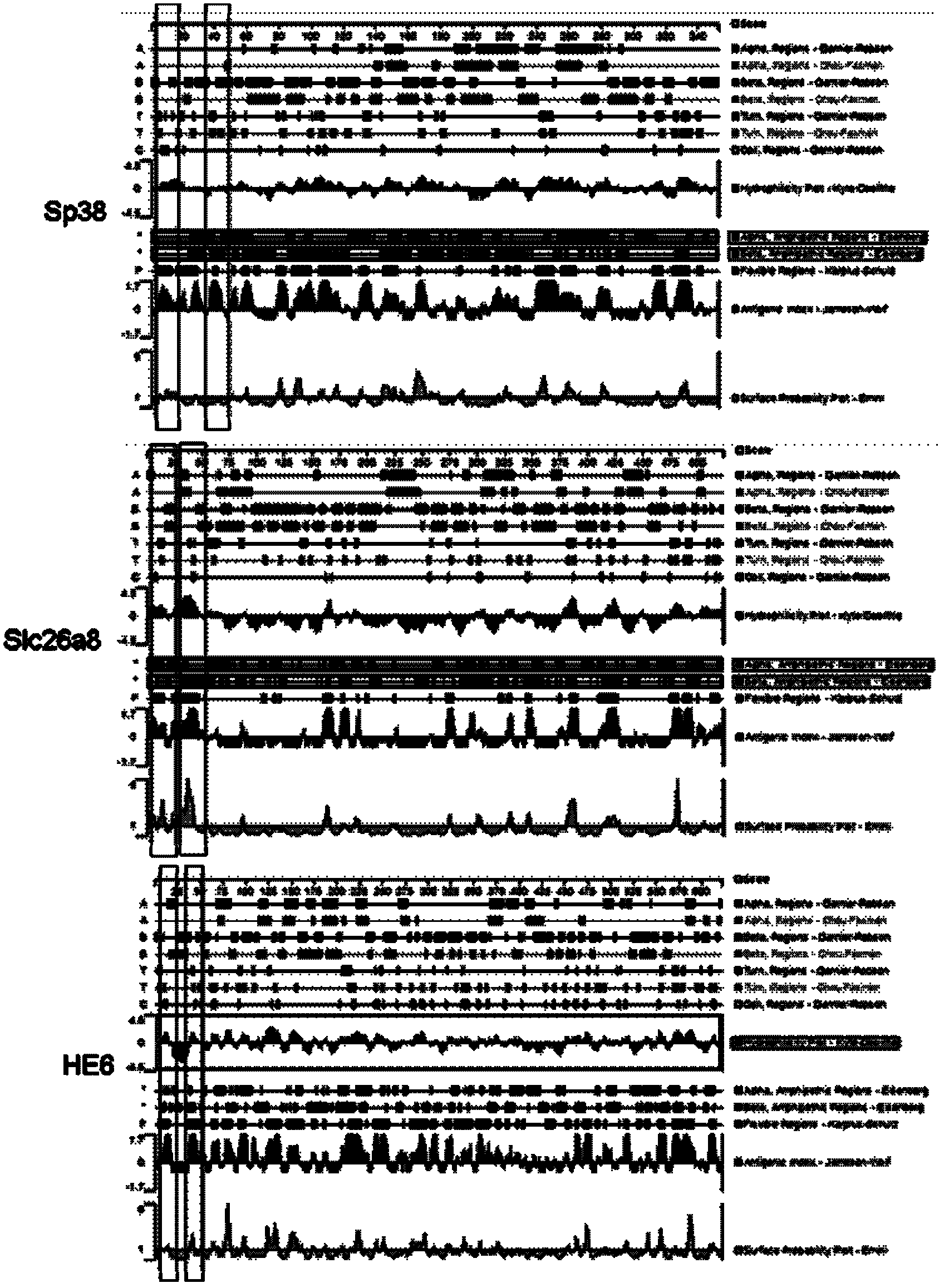 Mouse-specific anti-fertility polypeptide