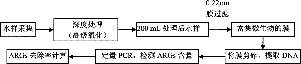 High-grade oxidization method for removing antibiotic resistance genes in sewage