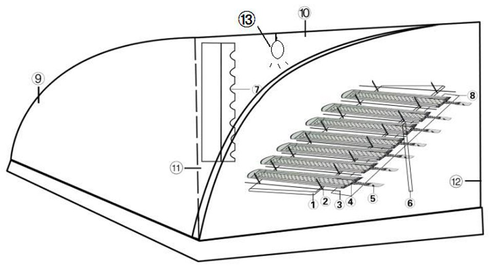 Vacuum pipe solar barbecue device