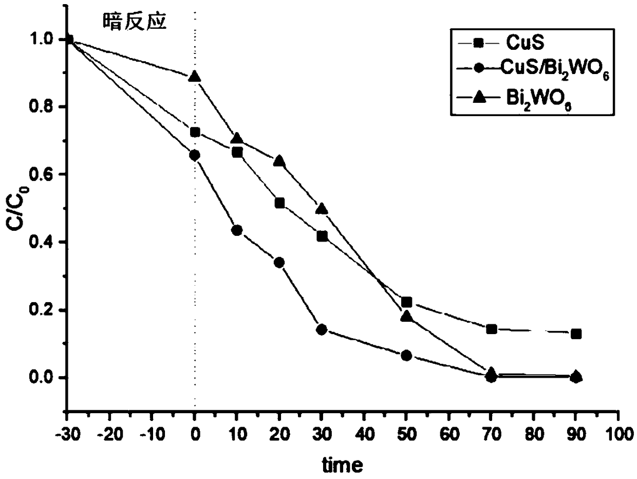 CuS/Bi2WO6 heterojunction photocatalyst as well as preparation method and application thereof