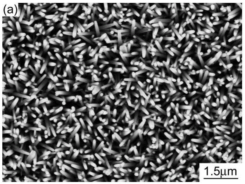 Preparation method of fes2 thin film