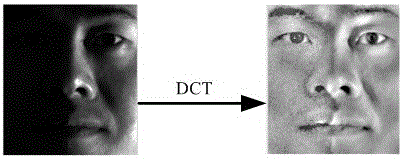 A Face Recognition Method Based on Low-rank Block Sparse Representation