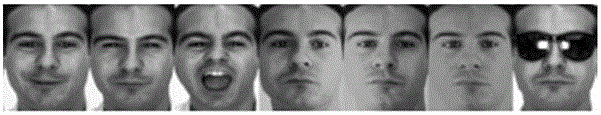 A Face Recognition Method Based on Low-rank Block Sparse Representation