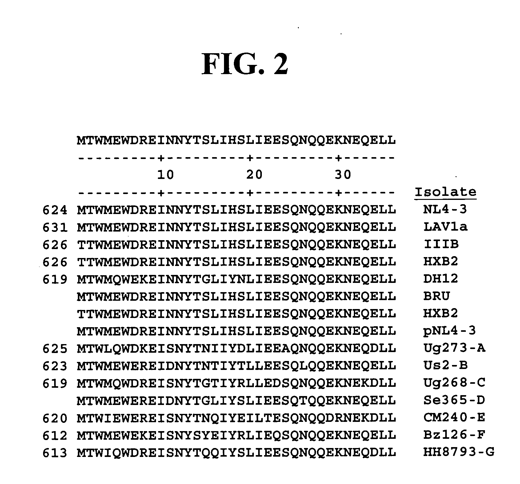 HIV gp41 HR2-derived synthetic peptides, and their use in therapy to inhibit transmission of human immunodeficiency virus